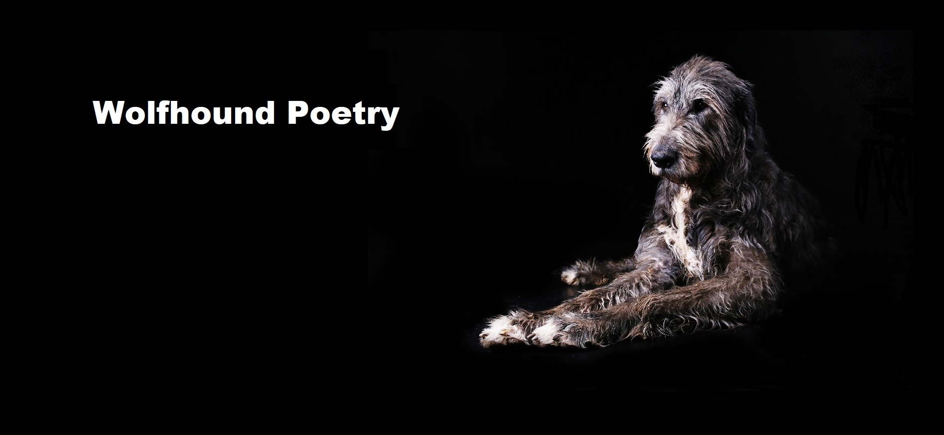 Wolfhound Poetry | **The Tortoise Dance** | Facebook