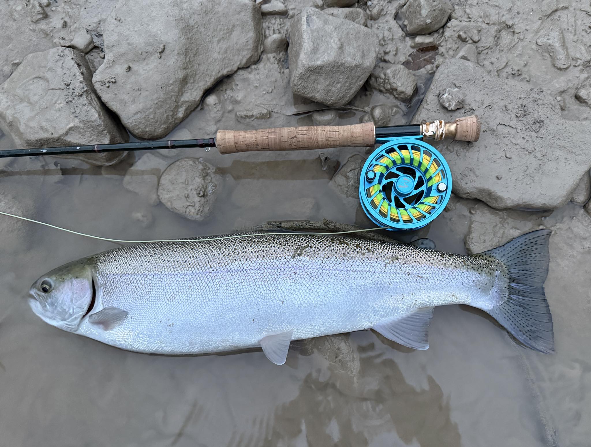 best small fishing pole NickStick Mini Rod POLE SHIMANO Catana Static storm Color:Holo Orange Perch* (TRO Exclusive)