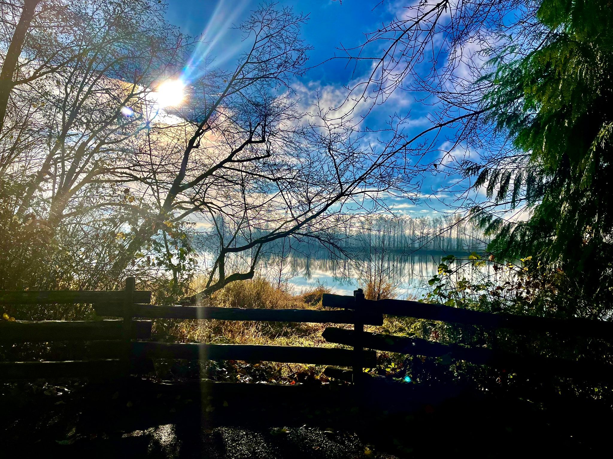 Morning walk today along the Fraser River towards the PM Airport ...