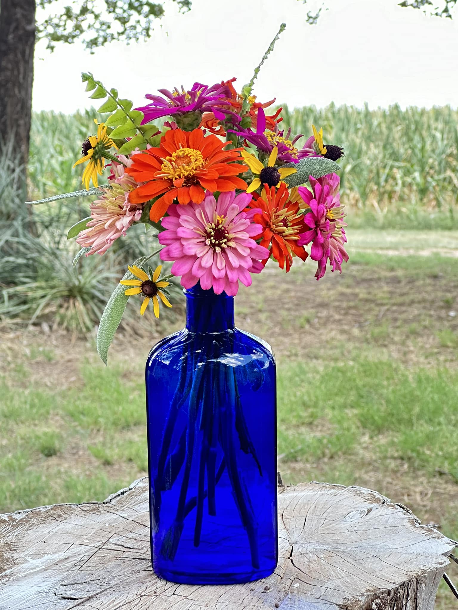 Vintage aqua glass bottles & old ink bottles are my favourite