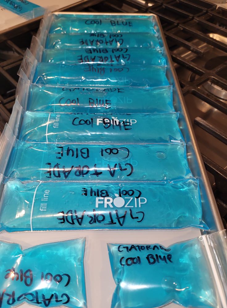Can I use a freeze dryer just to freeze Gatorade popsicles?