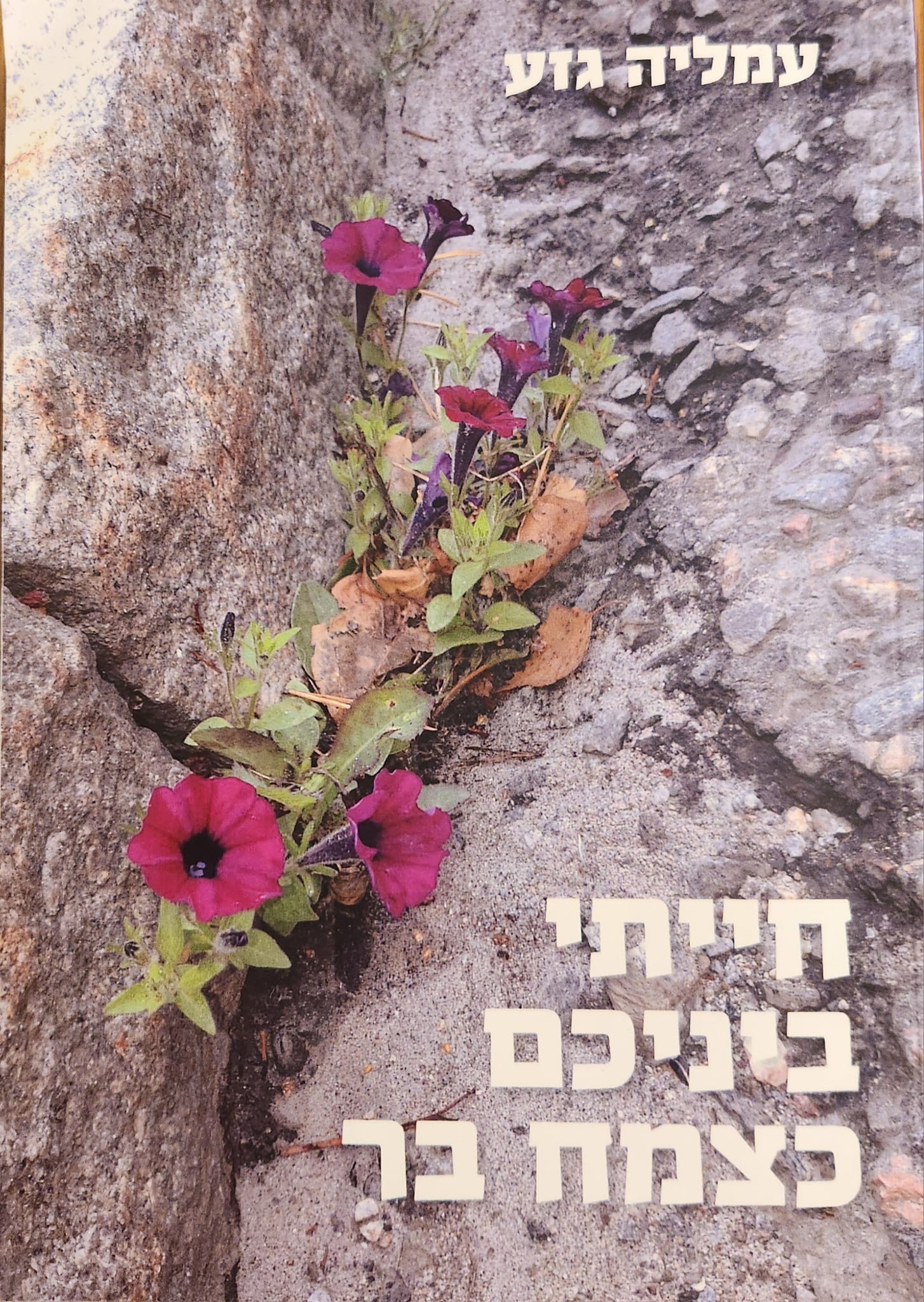 מועדון קריאה לאוהבי ספרים | 