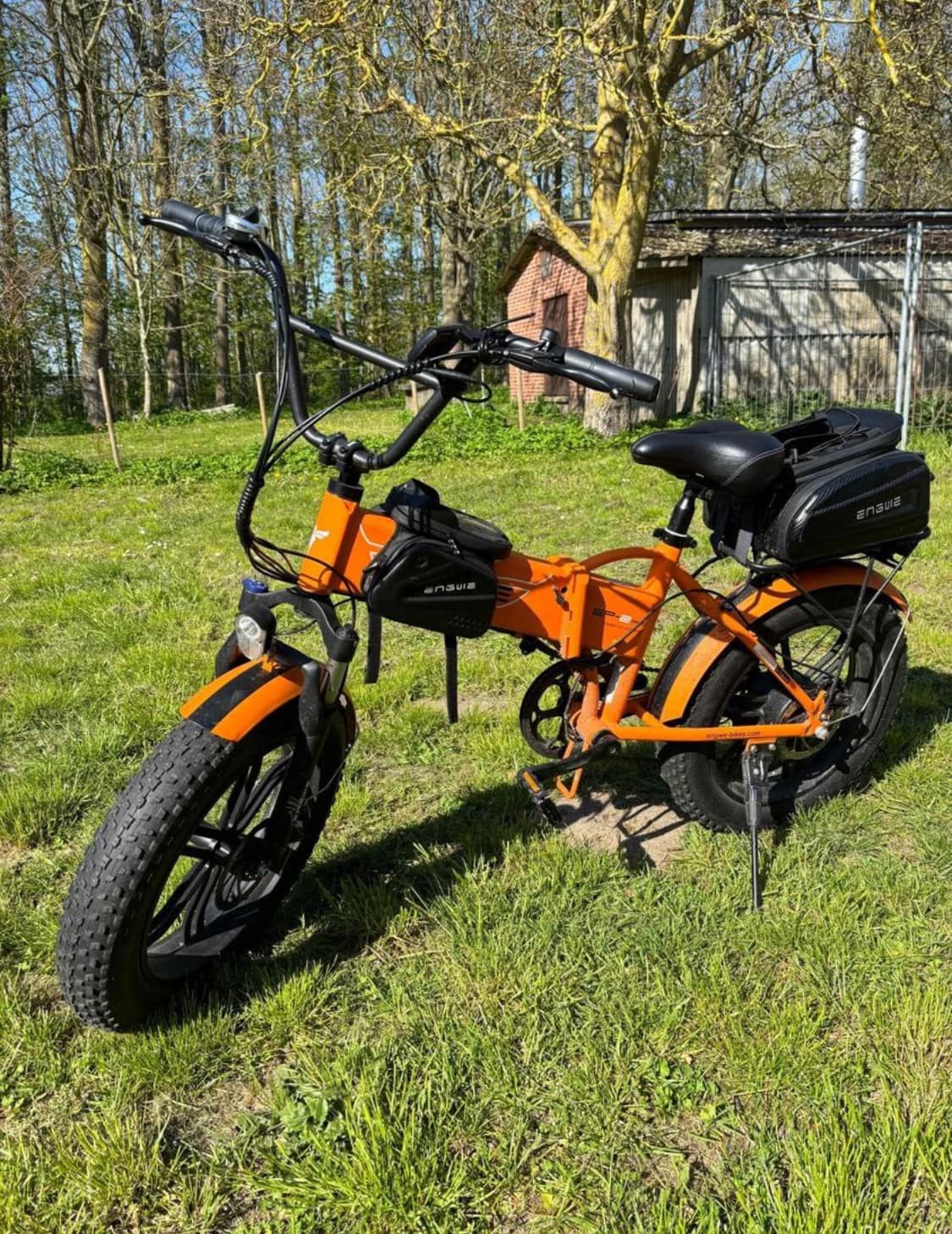 Porn Picture