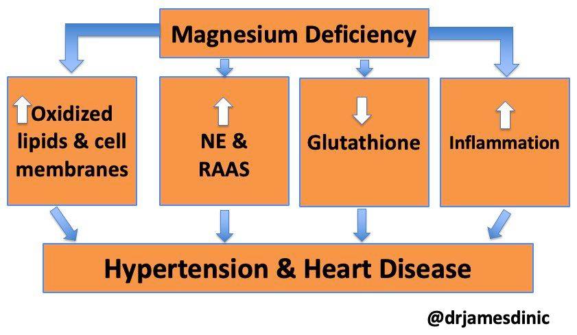 SILENT MAGNESIUM DEFICIENCY — 9 OUT OF 10 PEOPLE HAVE IT Magnesium controls over 300 body processes, yet most people don't get enough: ✓ Nighttime leg cramps & muscle spasms ✓ Eye