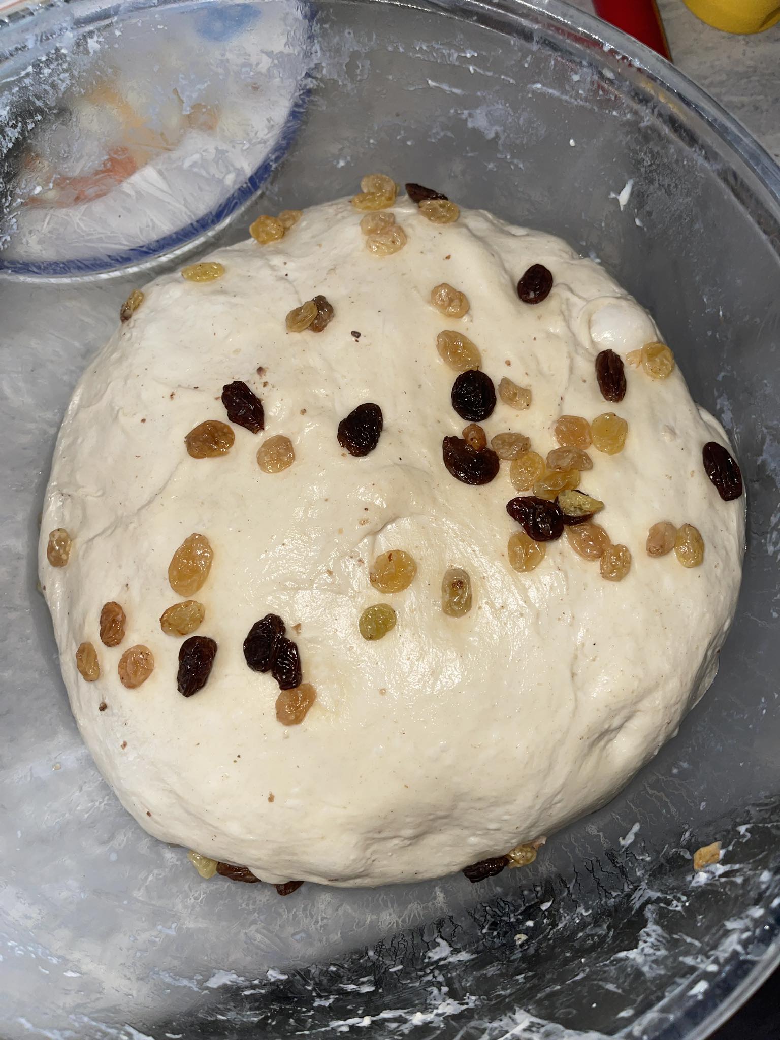 Making champagne sourdough bread today