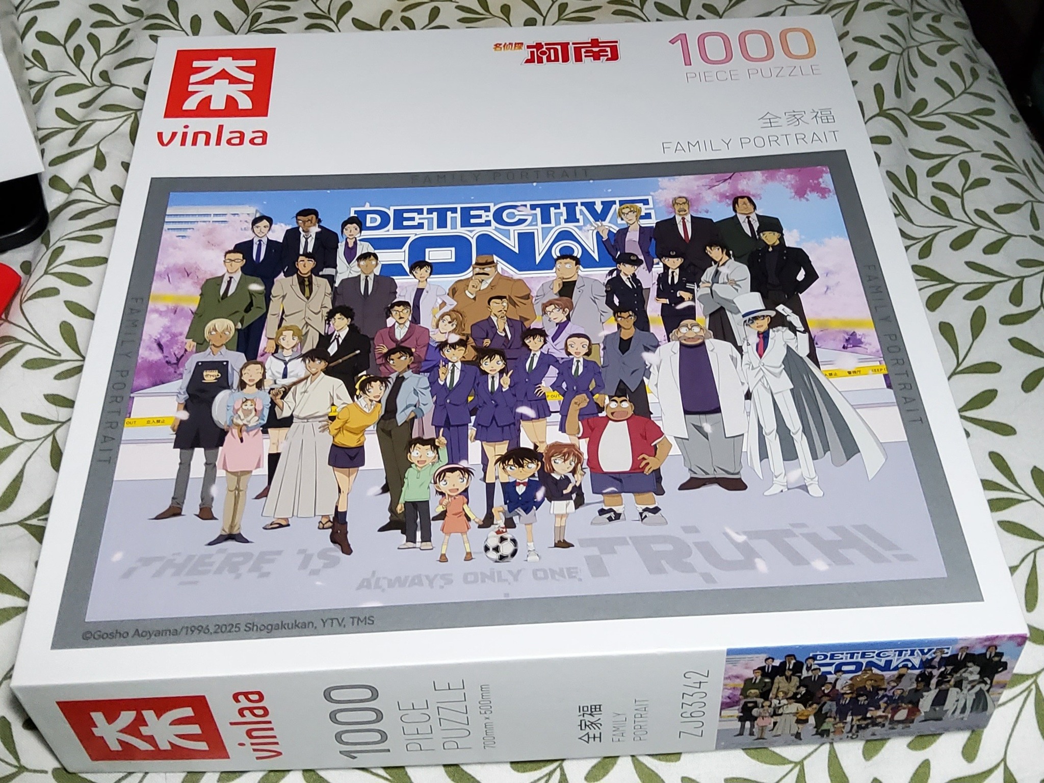 Vinlaa detective family portrait puzzle review