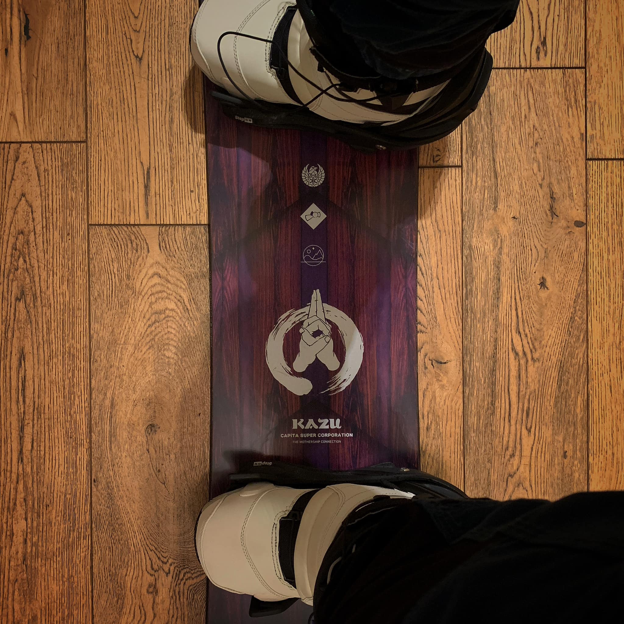 Are Onyx crampons compatible with Ion bindings?