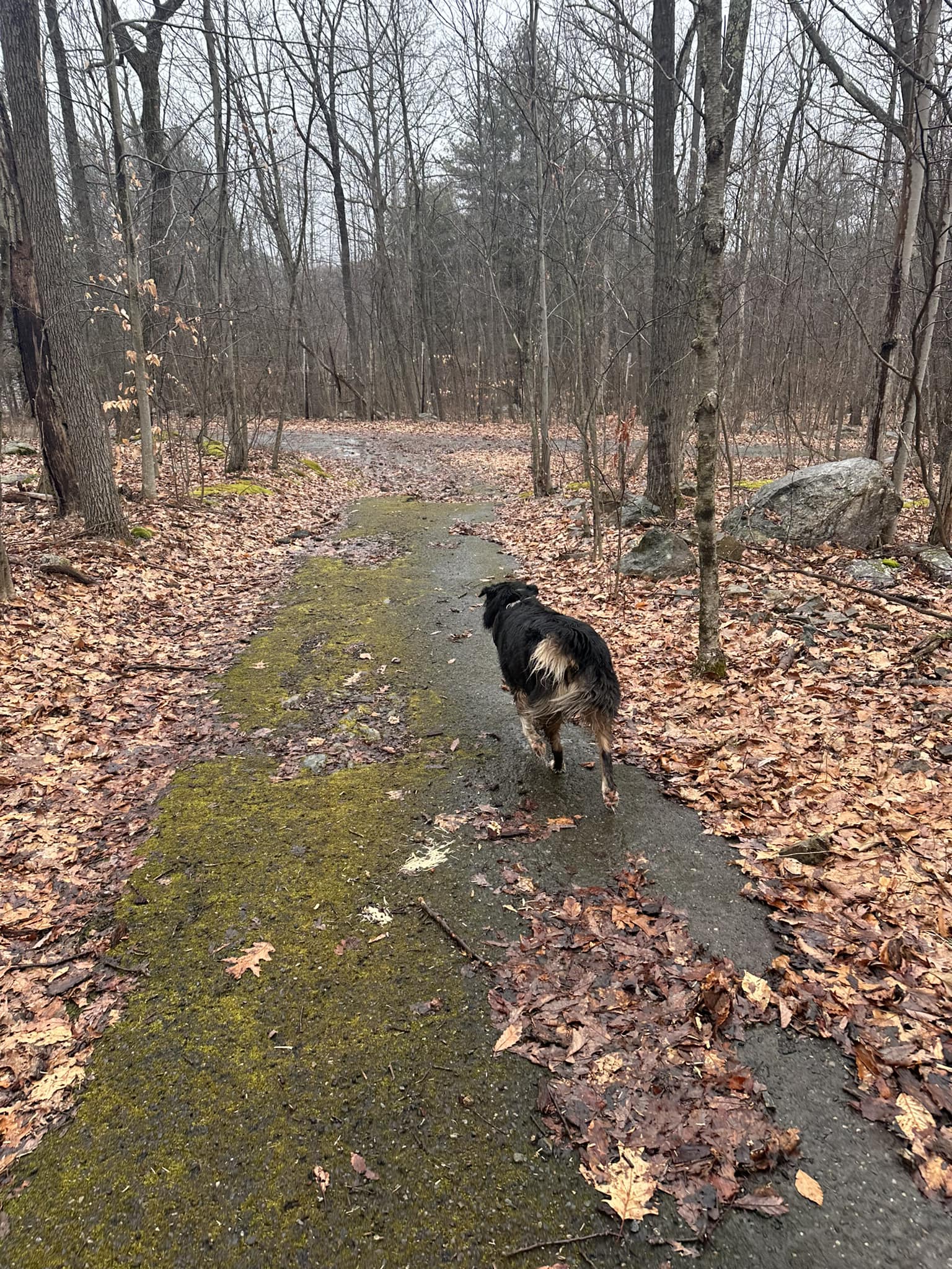 What are outdoor adventure spots in North Jersey?