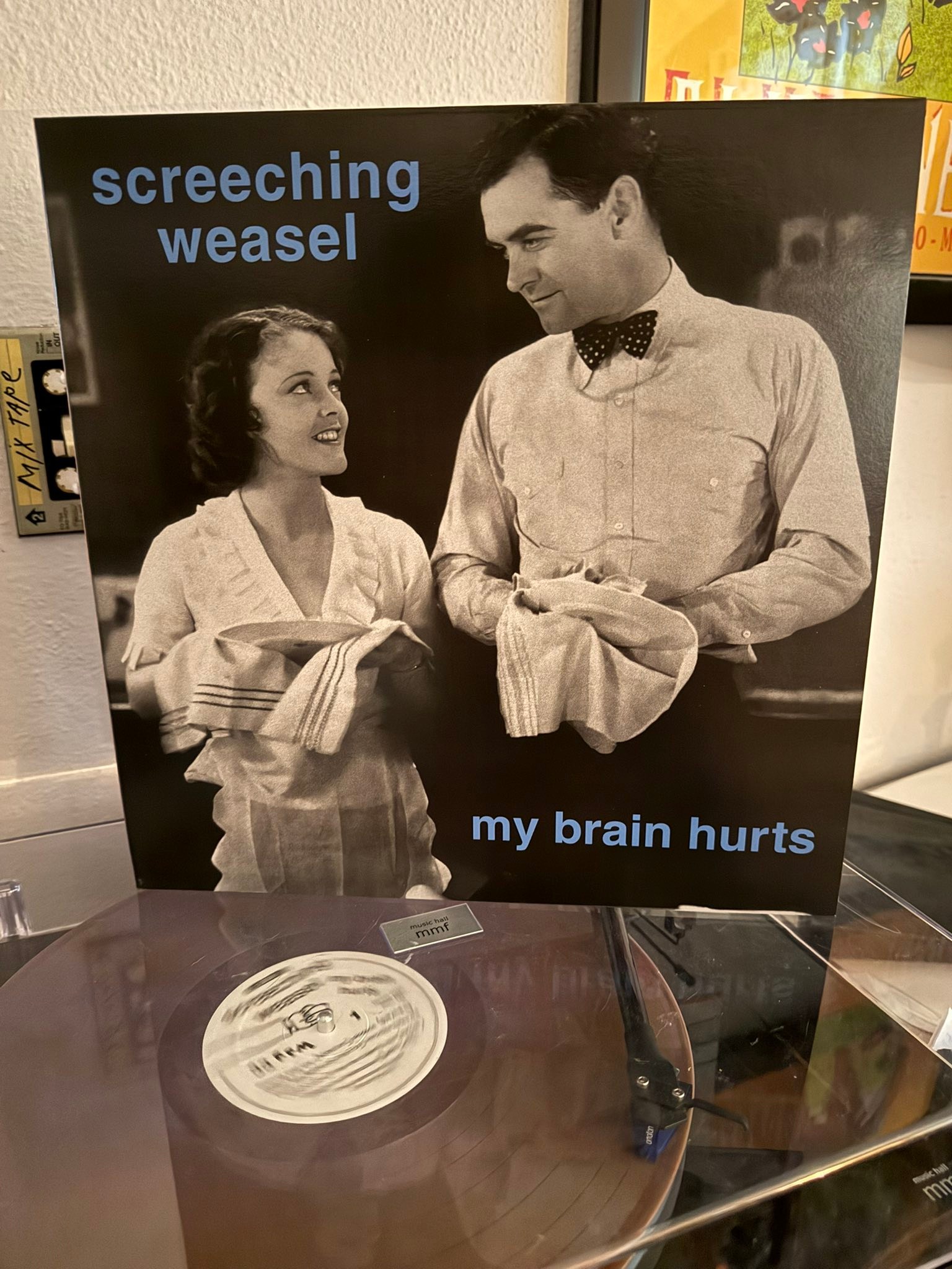 Screeching Weasel My Brain Hurts double LP back in stock