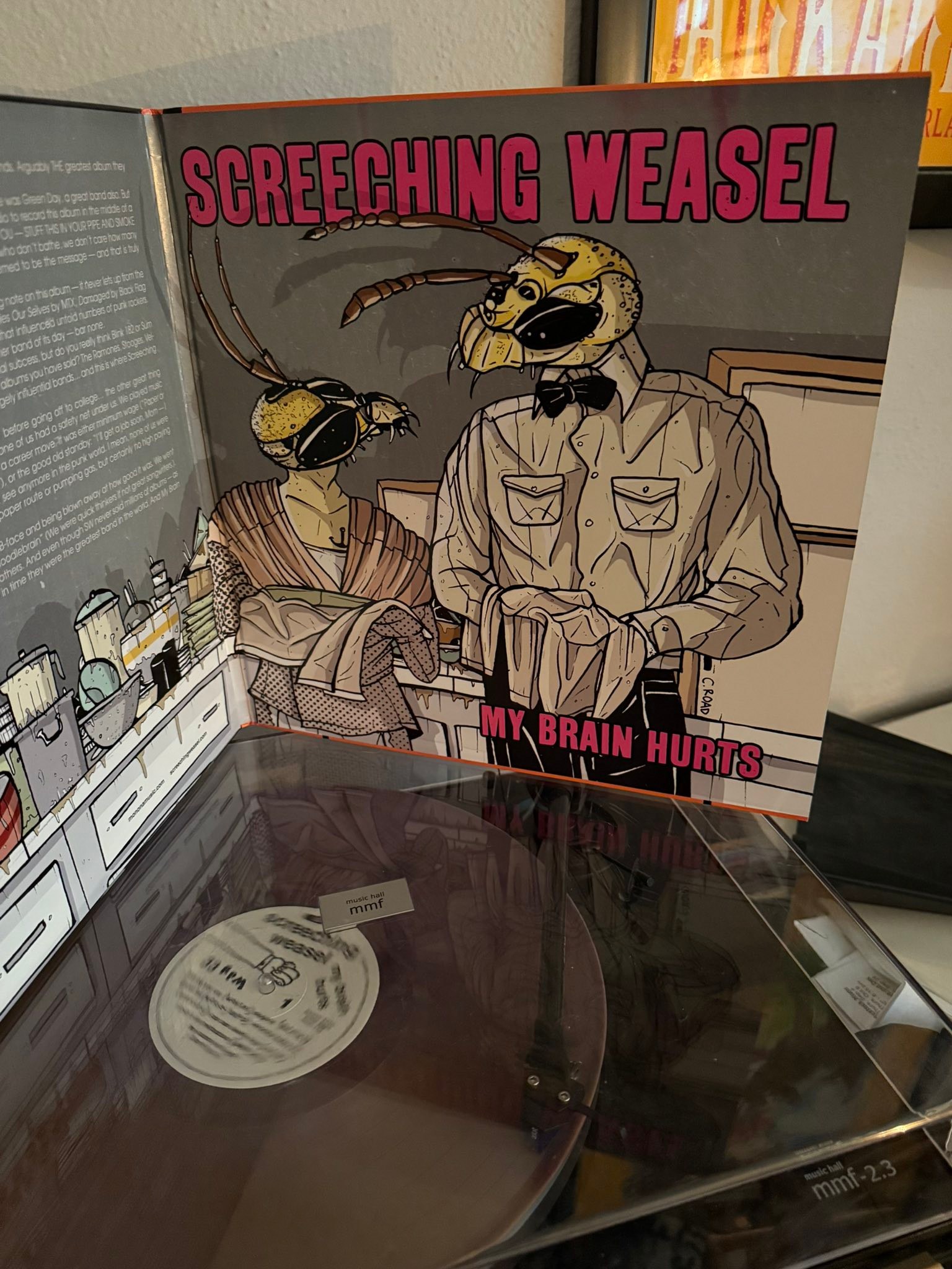 Screeching Weasel My Brain Hurts double LP back in stock