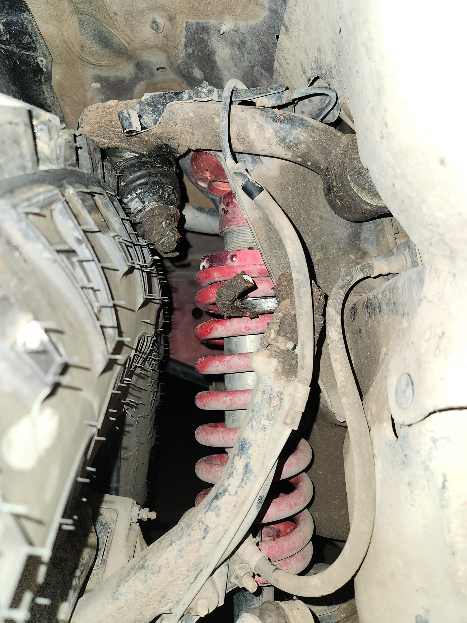 2x Front Lft Spndles Steerng Knuckle For Toyota Tacoma 2005-2019 2