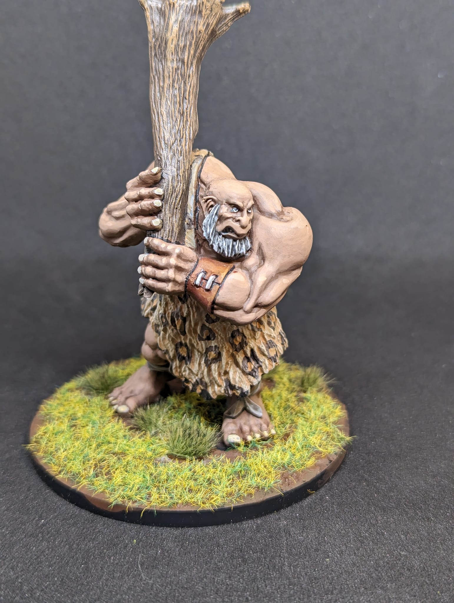 Reaper Miniatures