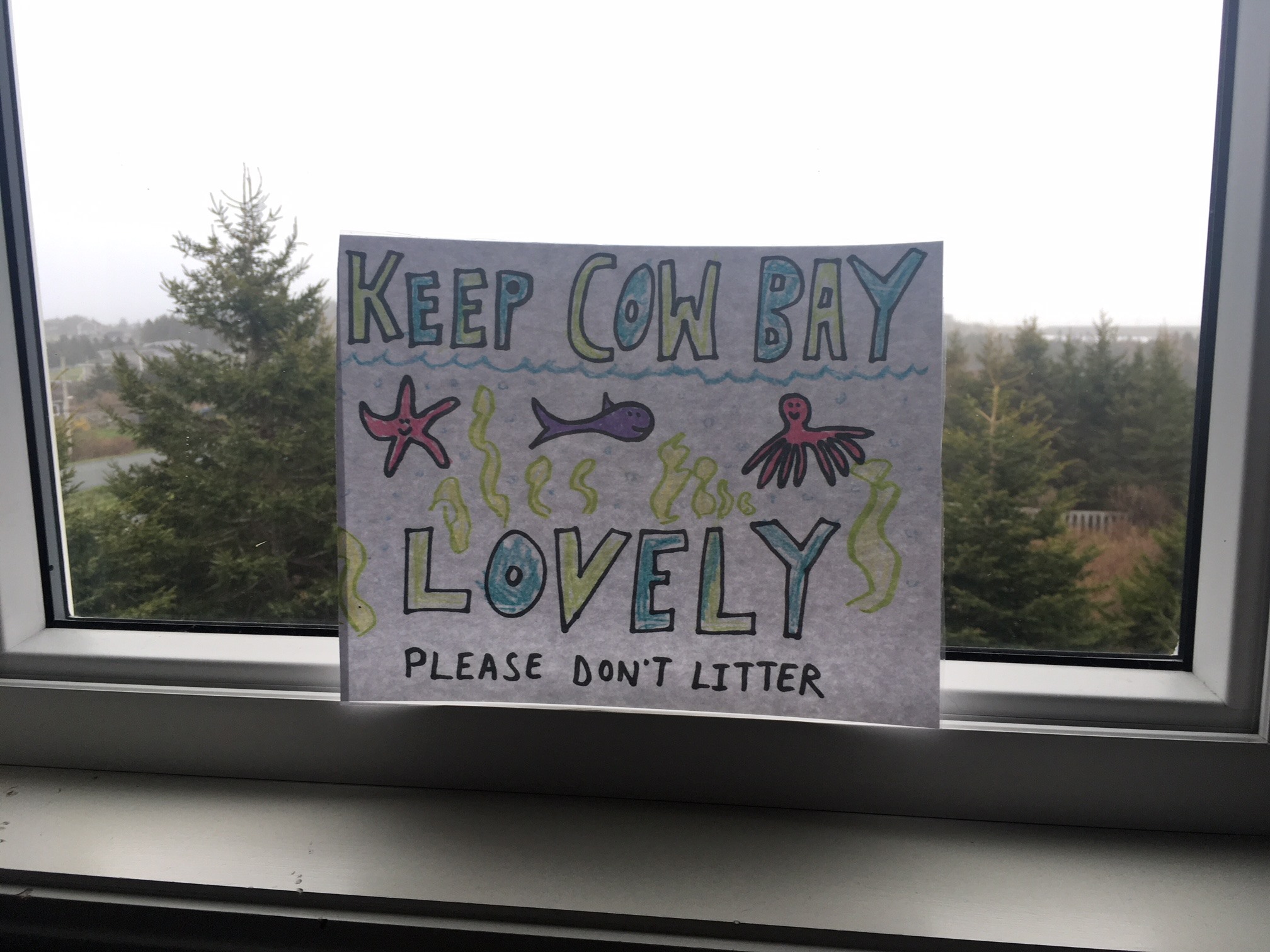Cow Bay Love | Missing cat! We live on the corner of Dyke and Frederick ...