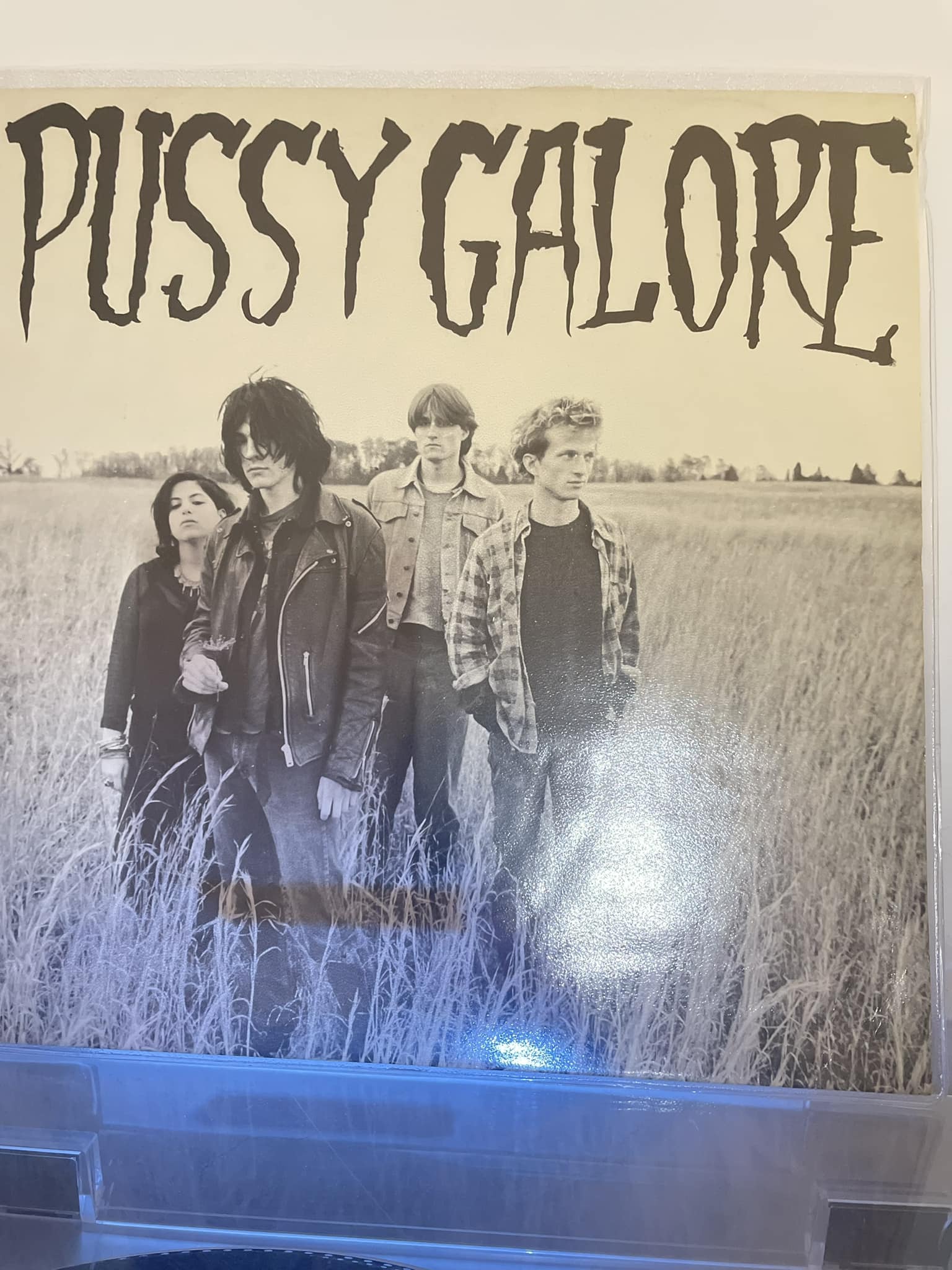 Pussy Galore. Groovy Hate Fuck. Vinyl Drip 1987