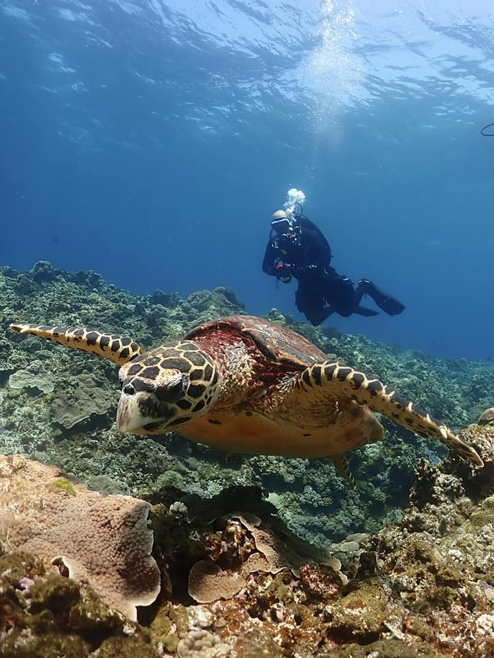 Caisson étanche Seafrogs Pour Appareil Photo Olympus TG-4 - Parfait Pour La Photo Sous-marine Et Le Snorkeling