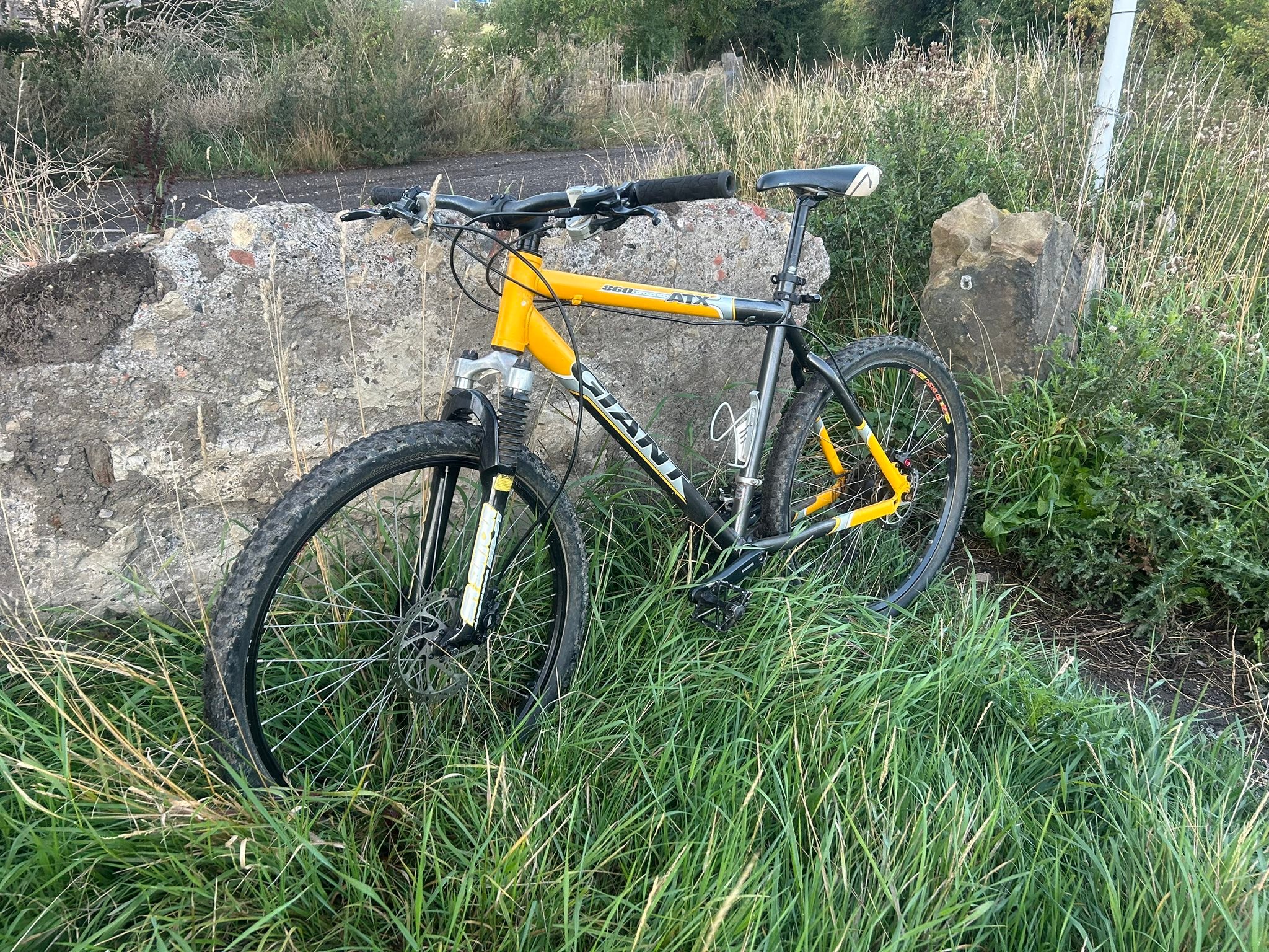 Restoration. Giant Hard Line 8100