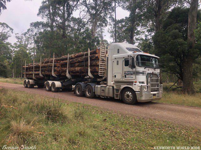 KENWORTH WORLD WIDE - Bonnie Smith shared this beauty of one of Brian ...