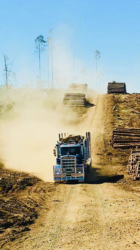 KENWORTH - Bonnie Smith shared this beauty of one of Brian Smith Timber ...