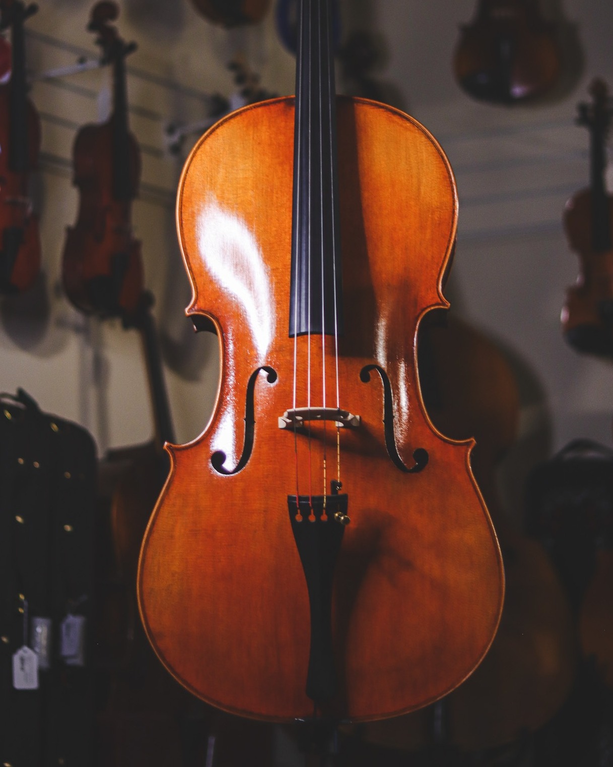 Alfred Stingl-Hofner AS-060-C3/4 cello review for intermediate player