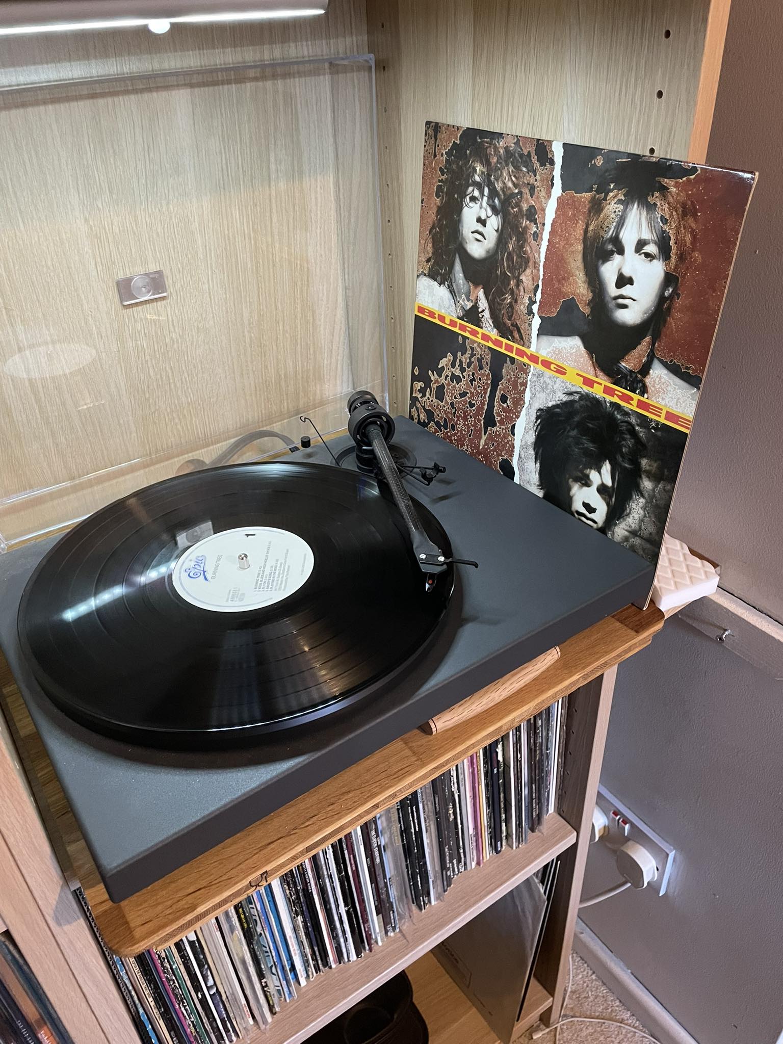 Burning Tree's 1990 album on Epic