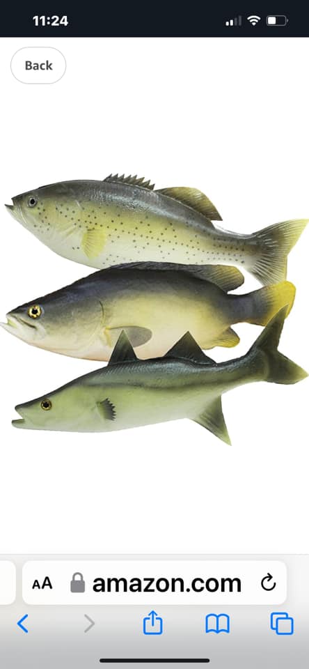 fake fish and poles Miniature Fishing Pole with : Toys & Games its ideal for desktops or tabletops Miniature Fishing Pole with Fish