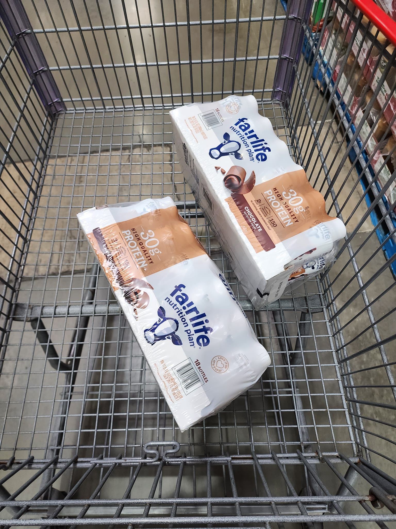 テスコ ラップスチール SW TESCO ヴィンテージ ラップスティール
