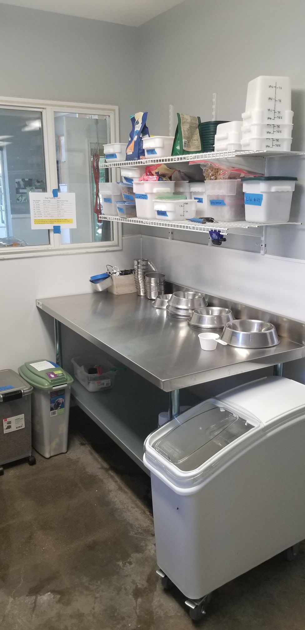 Photo inspiration: Visual Reference: Wildcat Pet Resort We Got Some New Shiny Stuff We