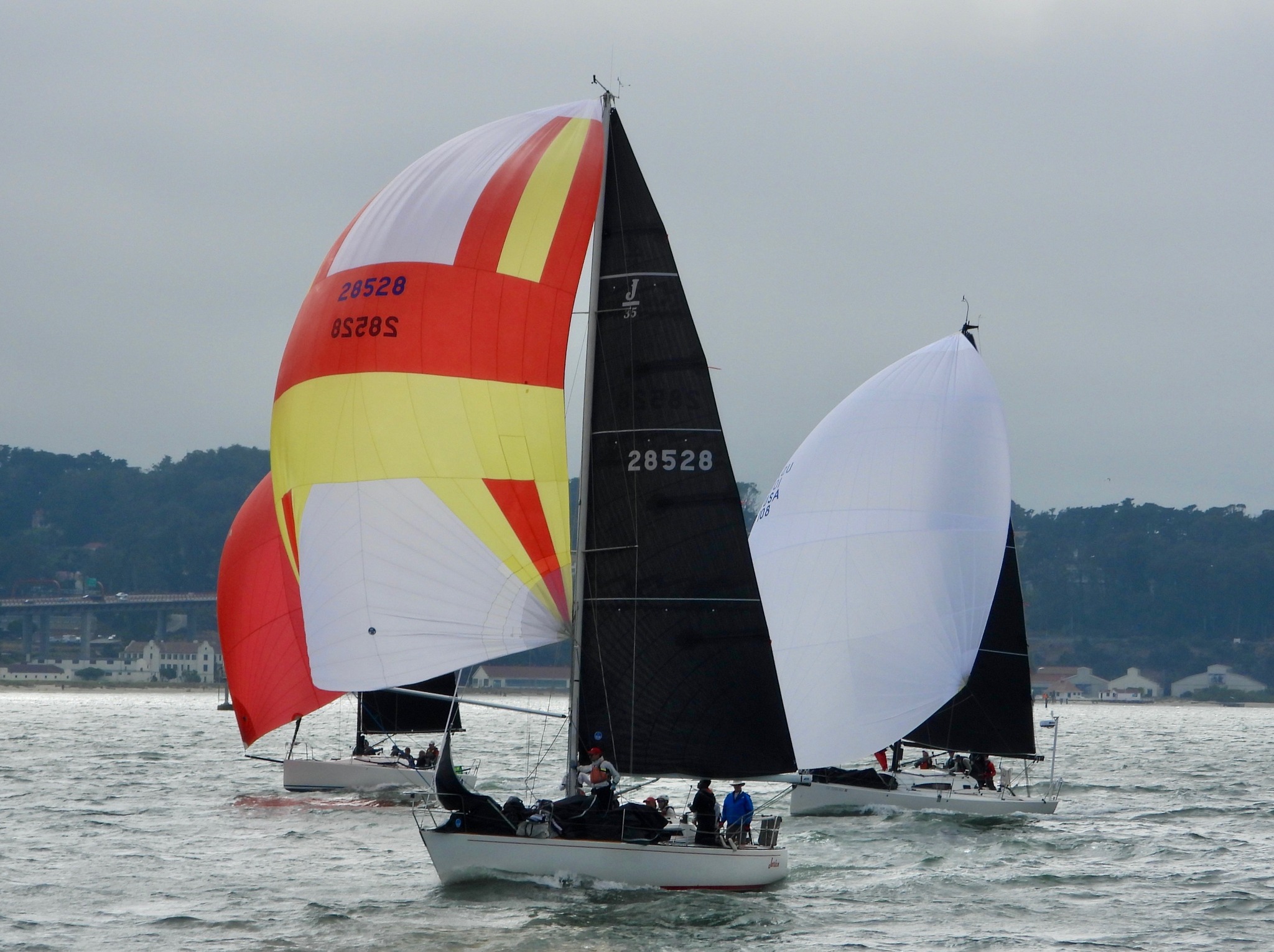 Rolex Big Boat Race. J/105