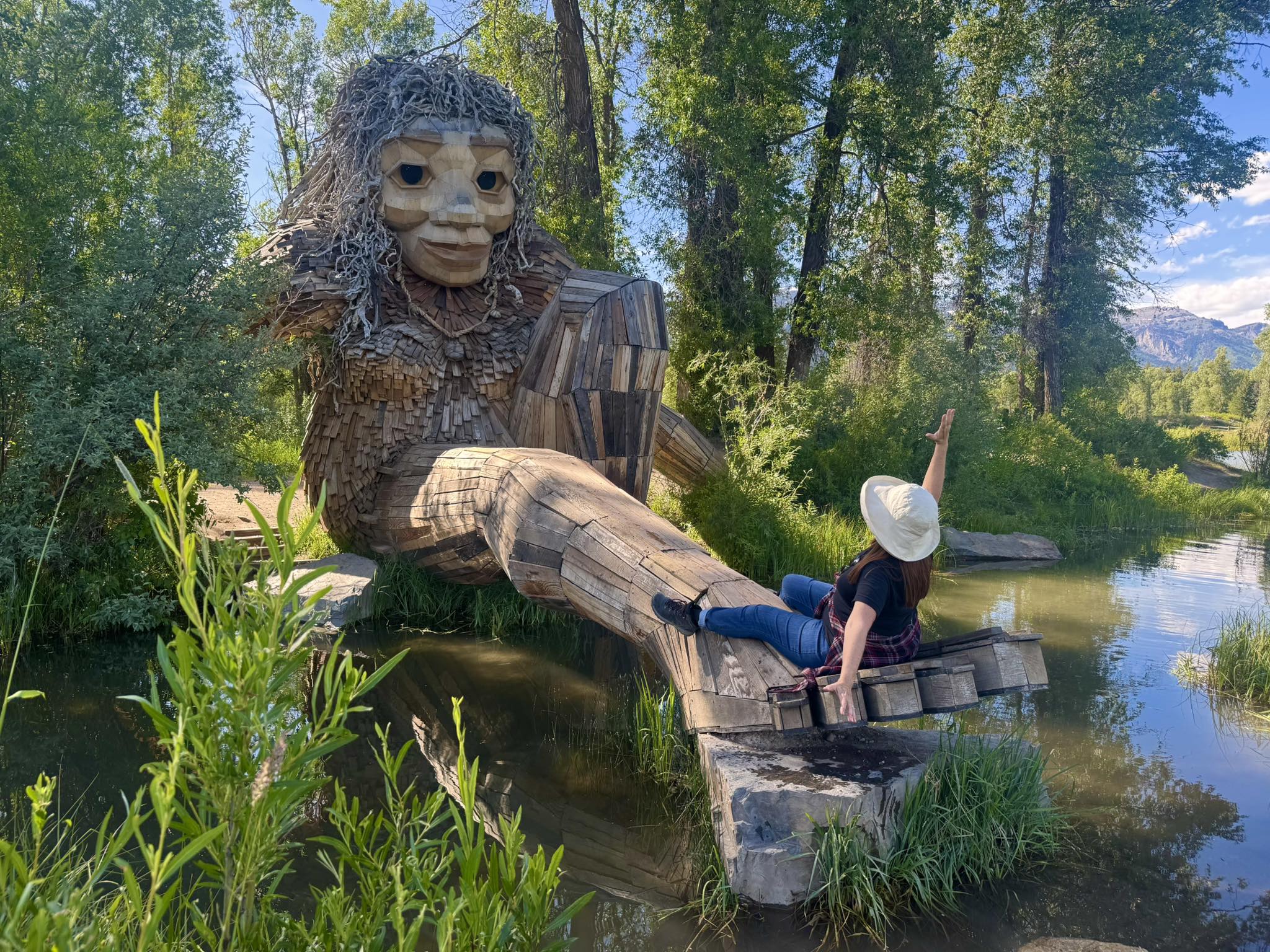 The troll 