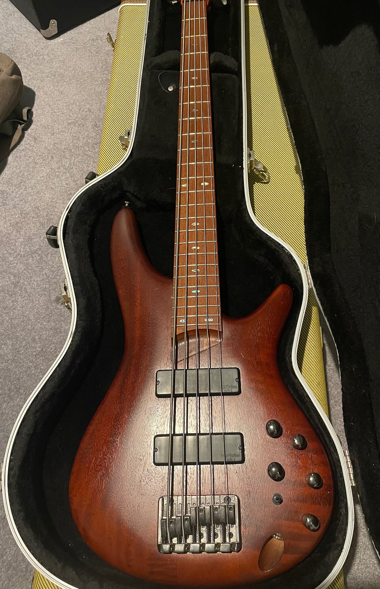 Replacing Ibanez SR505 with another five string model?