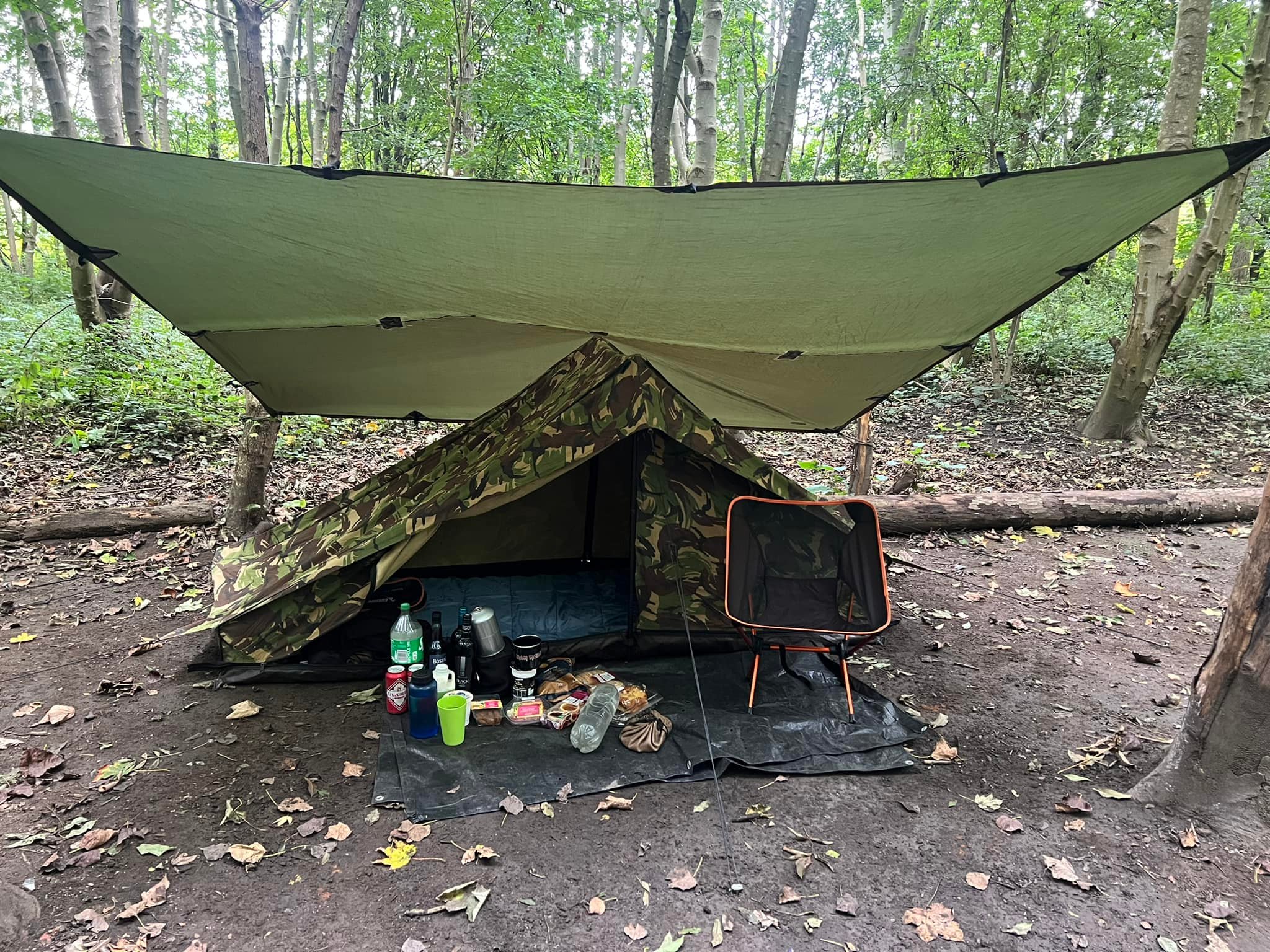 zelt kaufen 6 personen Alfheim 12.6 Glamping 12.6 m² Green Khaki Trockenblumenstrauß Choose Colour:White Welche Schuhe brauch i