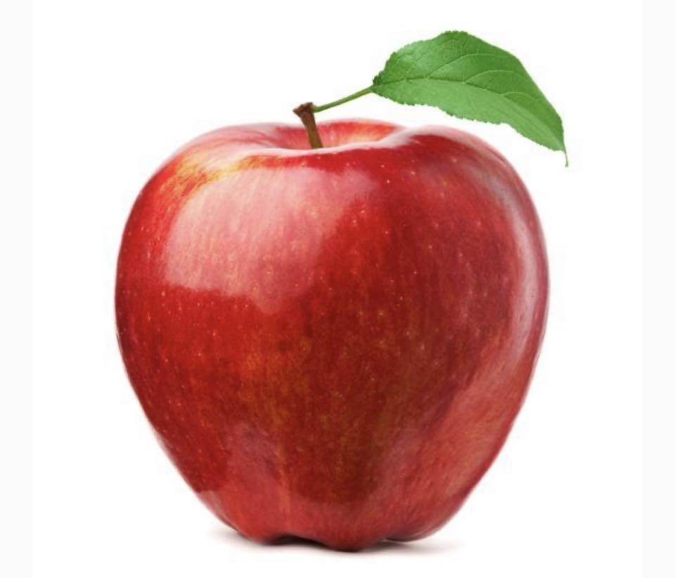 BC Tutors | **Math and Computer Science Tutoring, Coquitlam / Tri ...