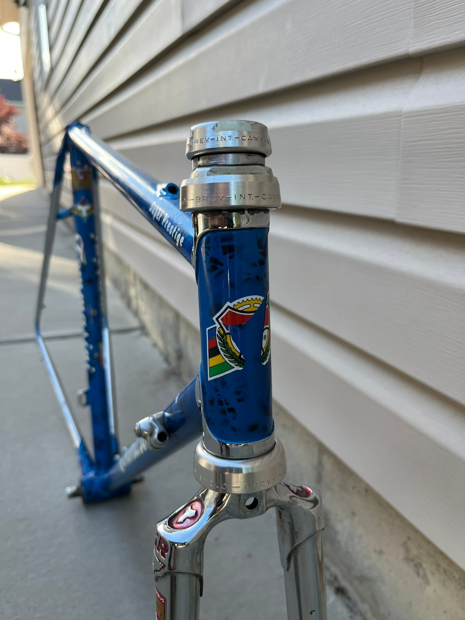 Decalcomania Orbit Per Tubo Downtube &ndash; Adesivo Per Bici
