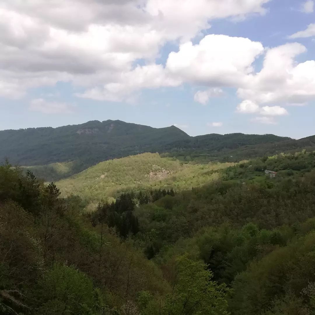 Springti... - B&B Cancabaia Parma. Bed & Breakfast Parma Italy