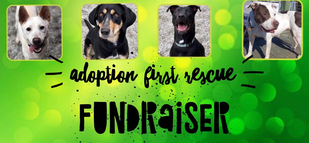 🐶Adoption First Rescue Fundraiser 🐶 | Facebook