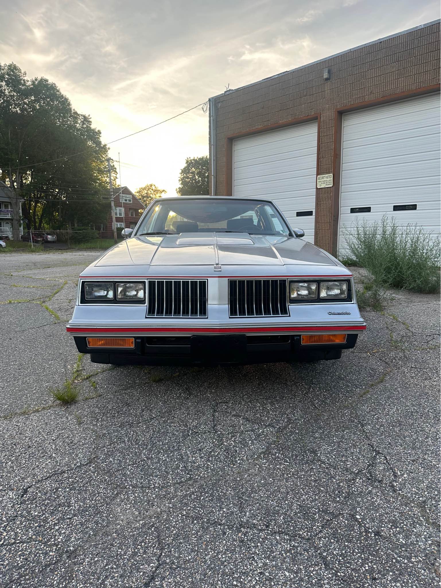 1173944_5
