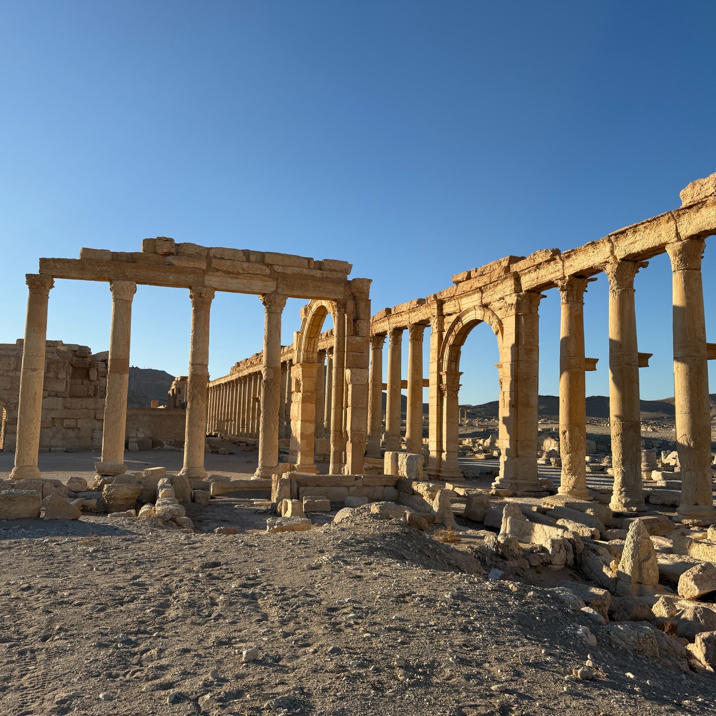 Bassel A Atassi