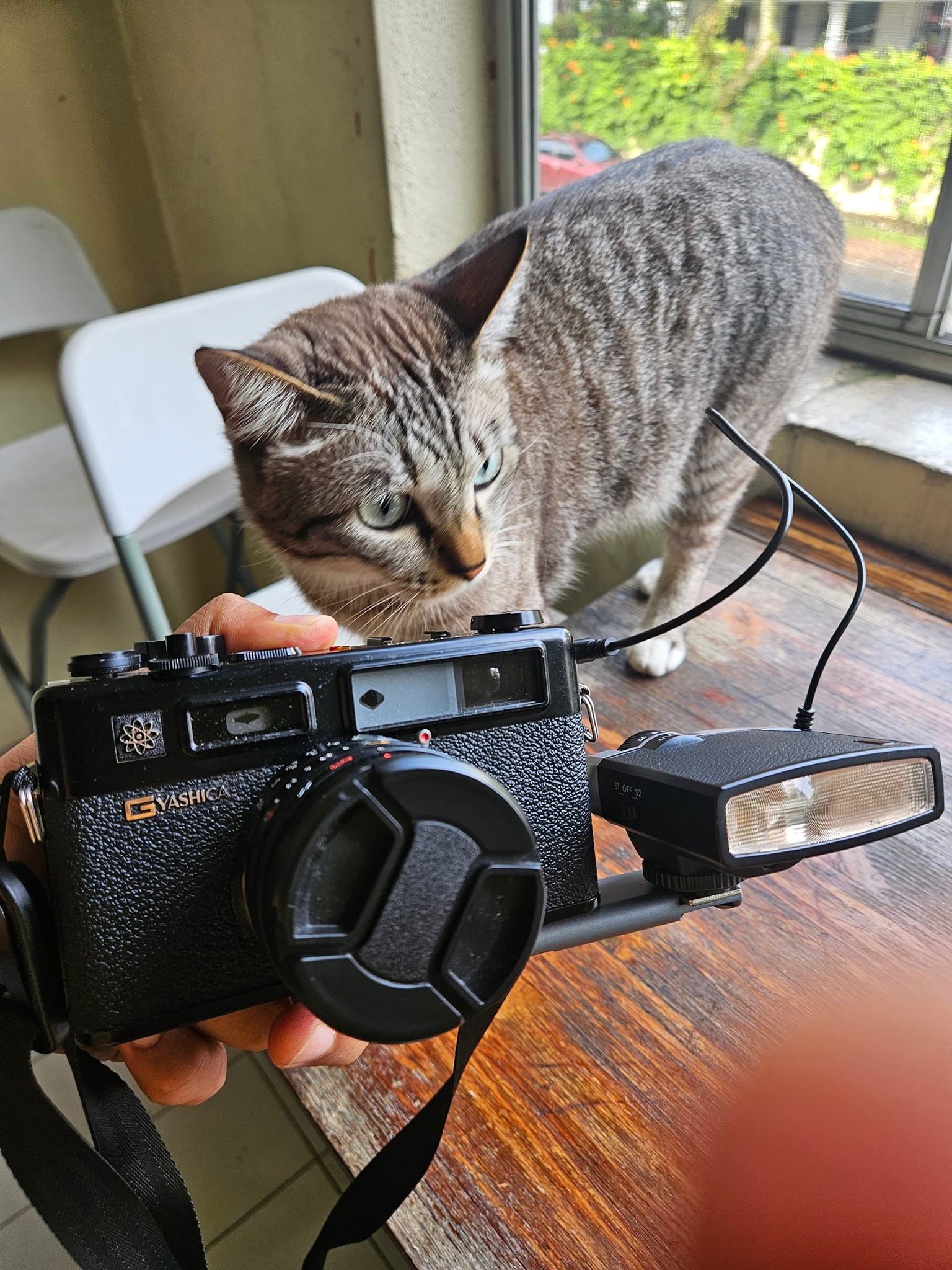 Anyone here with a Yashica Electro 35 GT? I am exploring flash