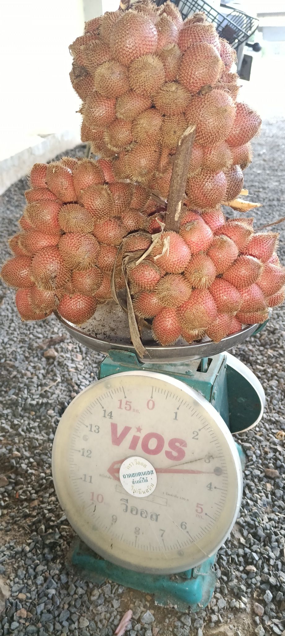 Pattama Sengkhao