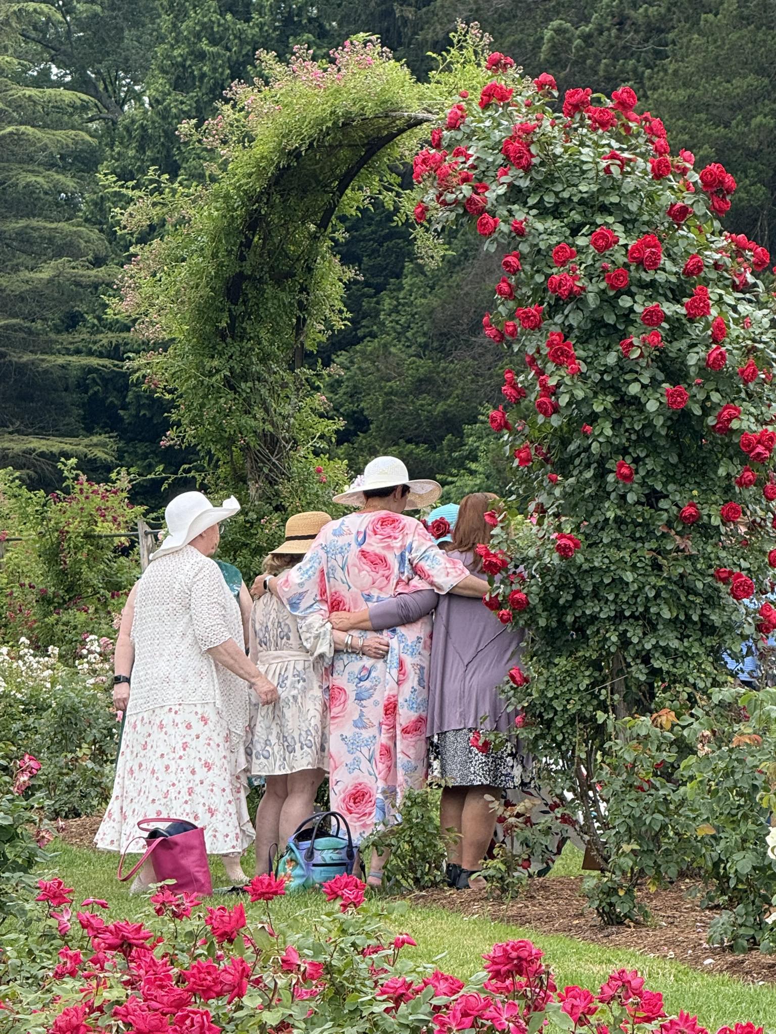 rose plantation dress code for ladies Women's day in Elizabeth Park Color_Sky-Blue