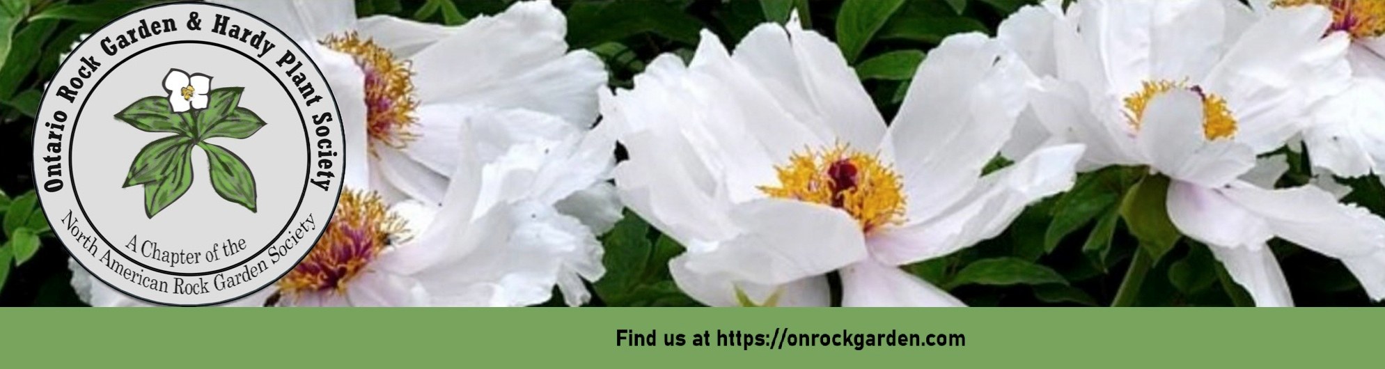 Ontario Rock Garden & Hardy Plant Society | Look for these interesting ...