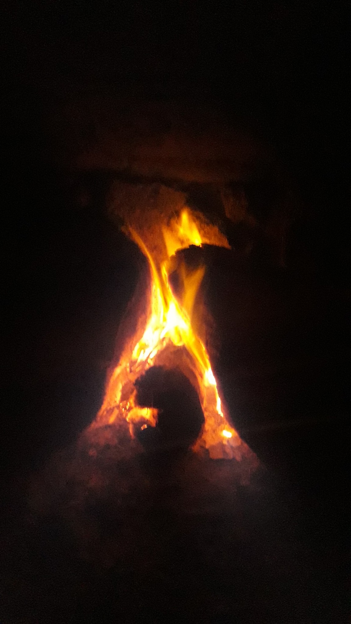 Rîto Rodrîguez
