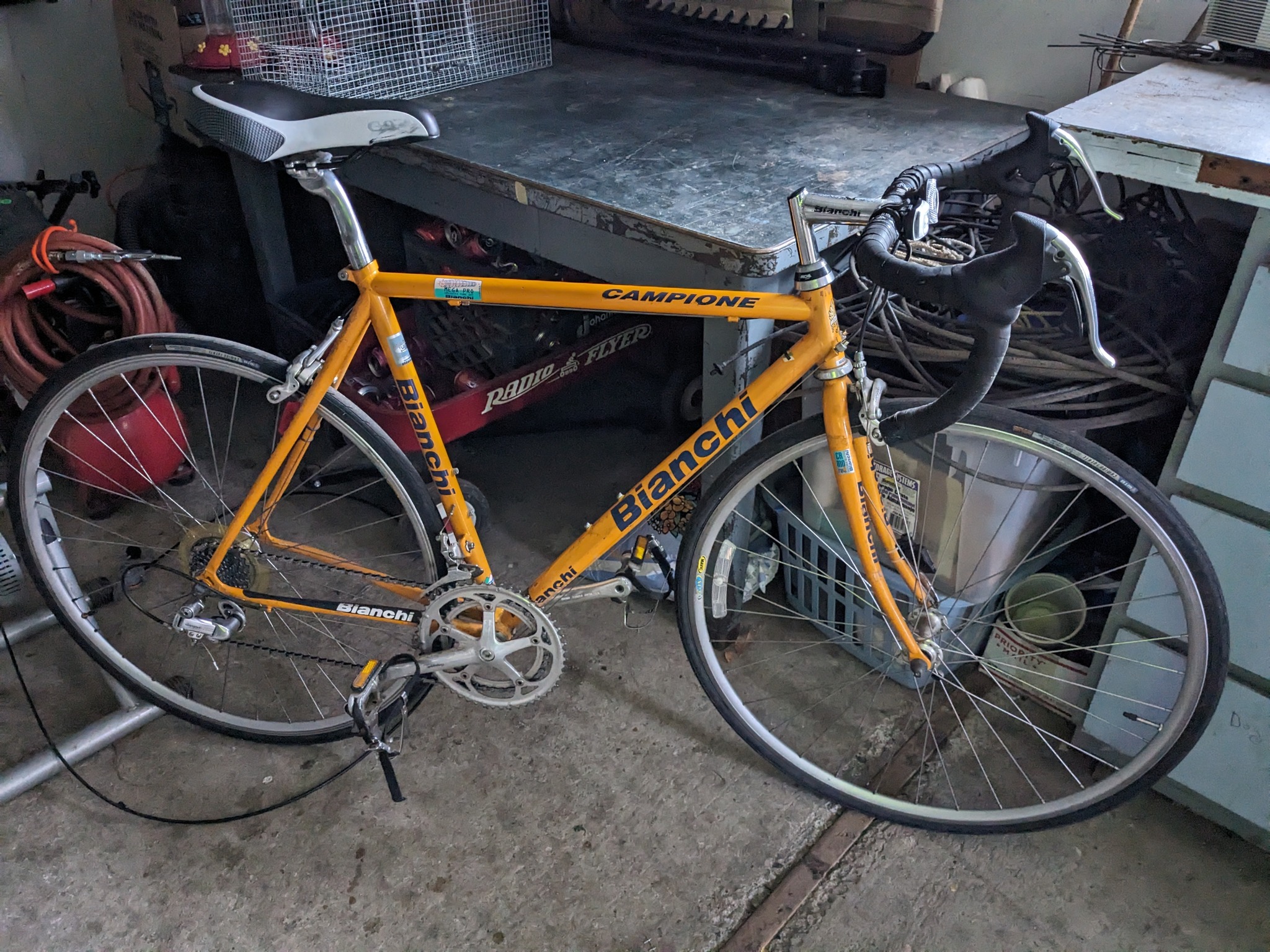 1998 bianchi eros road bike Trofeo with Campagnolo, Silver & Cleste Green 57cm/Large 1998 Bianchi Volpe Road/Gravel Bike