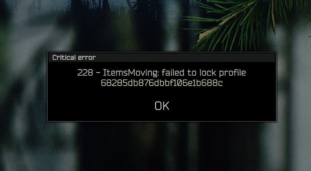 Fix for gear rack upgrade error 228 in Escape from Tarkov