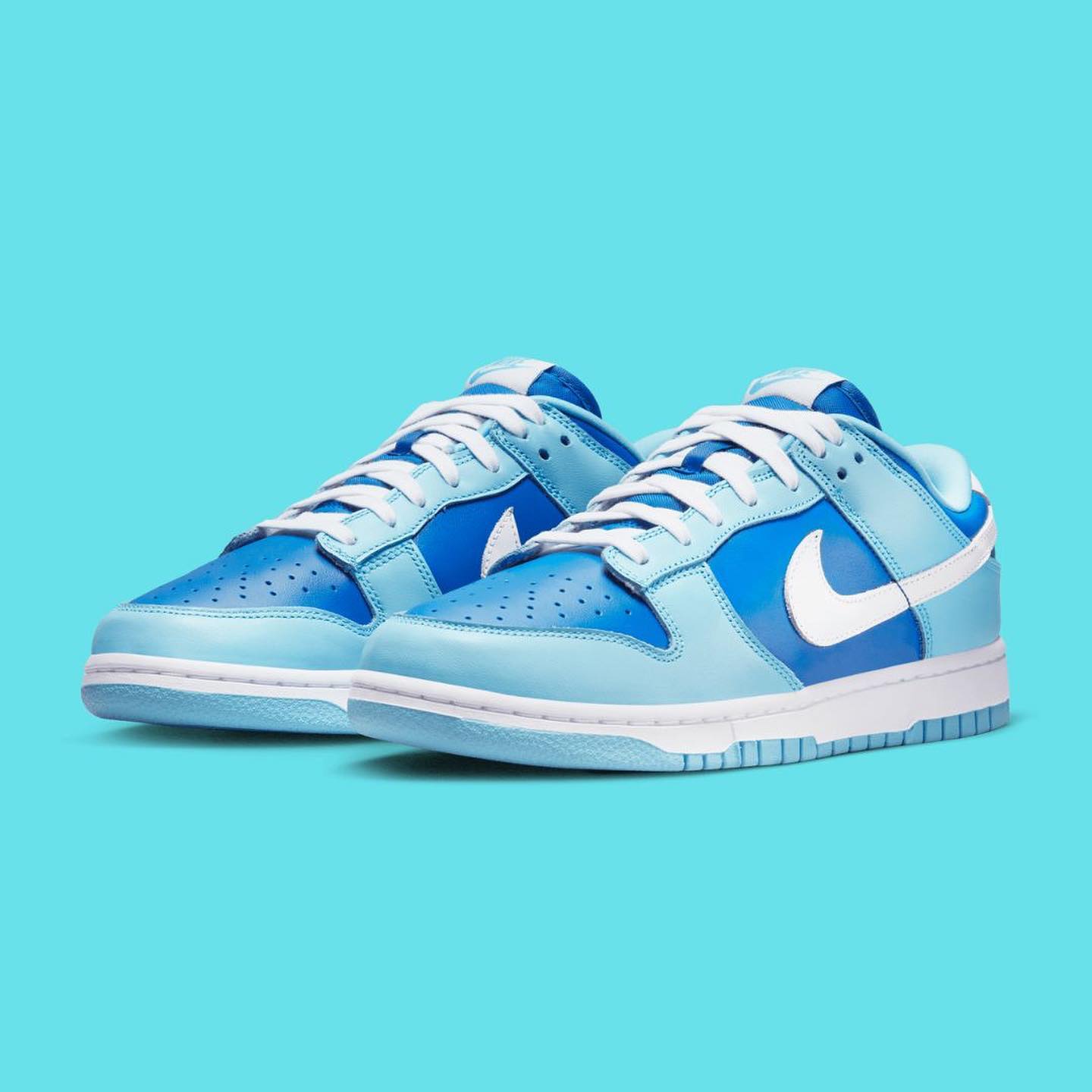Exclusive to Japan back in 2001, the highly coveted Nike Dunk Low