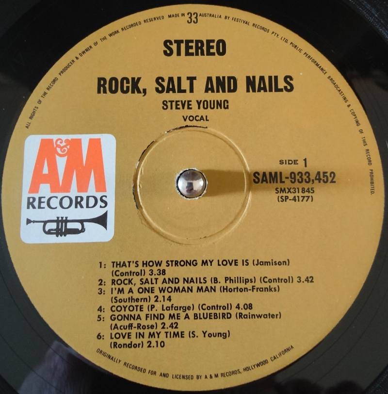 Steve Young's Album Rock Salt & Nails Review and Appreciation