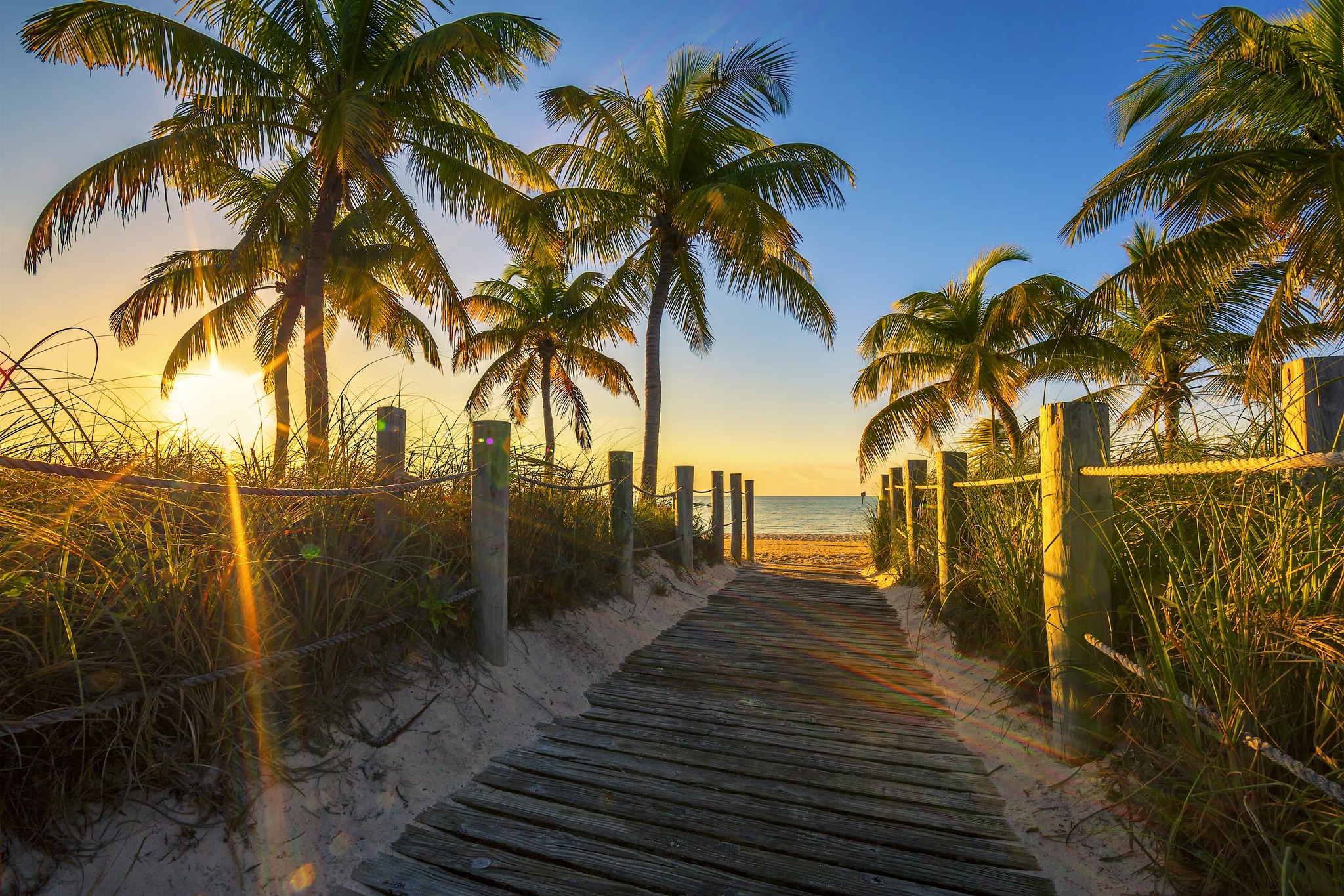 Key west Travel Tips | For those of you that visit Key West every year ...