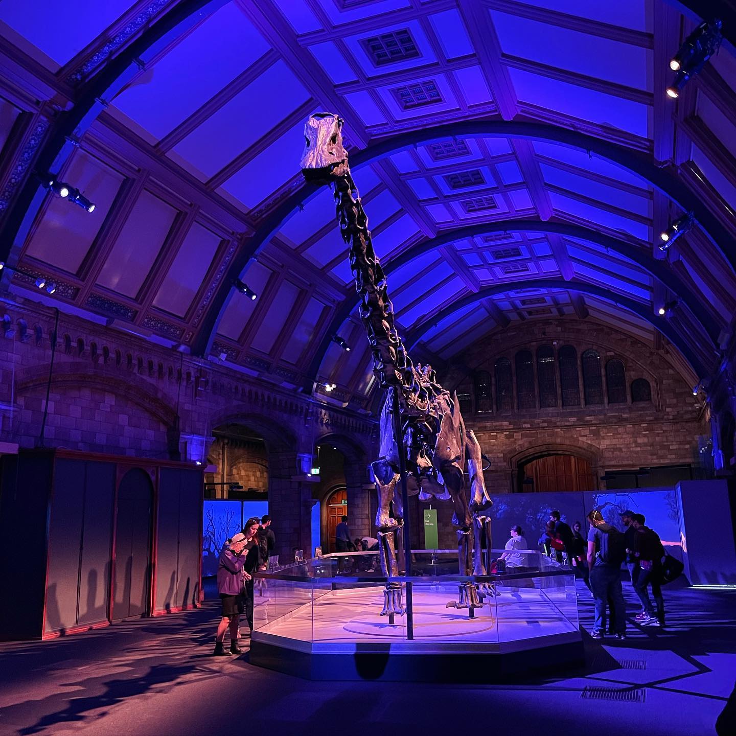 Jaegerfilm - Look whose back! #oneofourdinosaursismissing no more! # ...