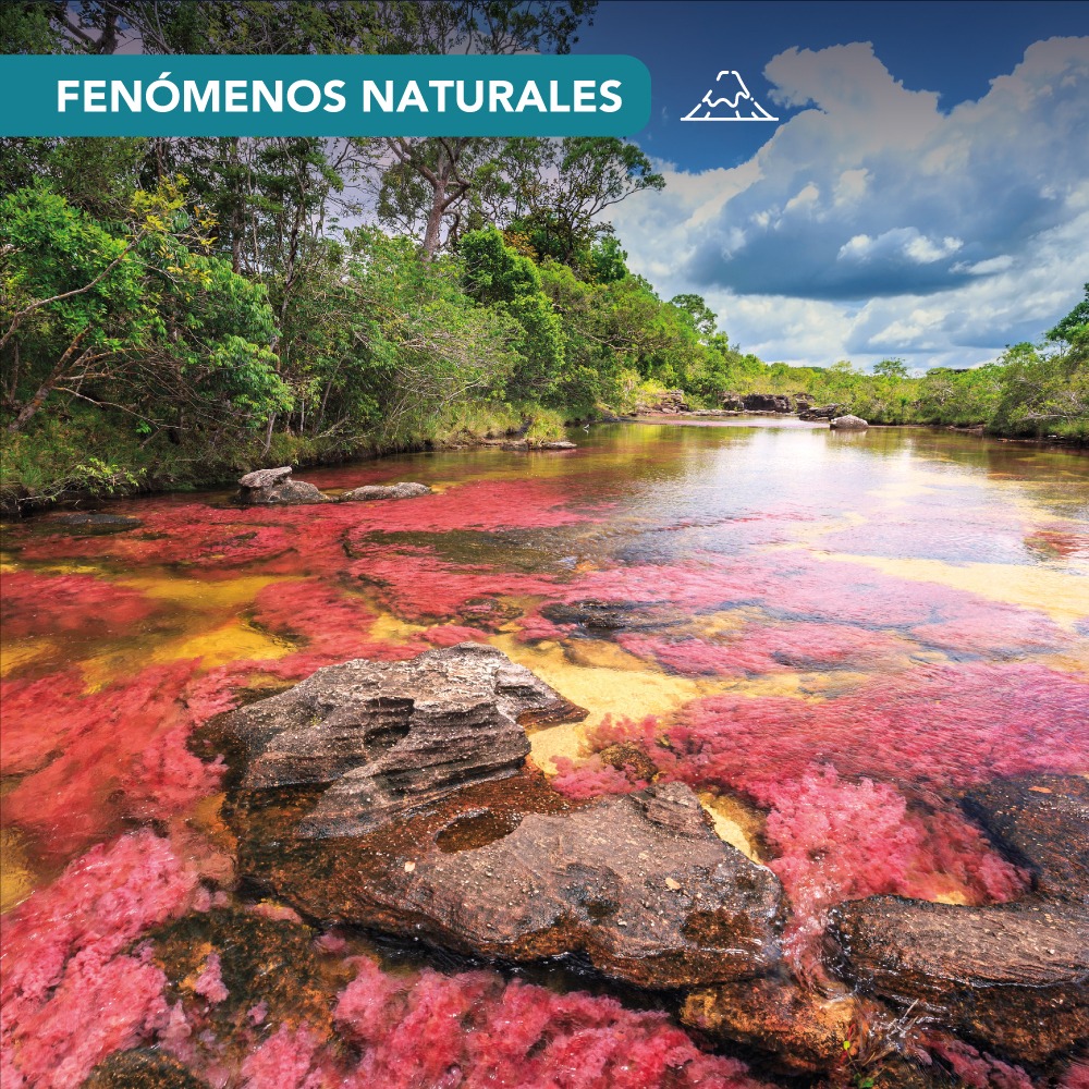 El Río de siete colores 🌈 donde los... - Universal Assistance