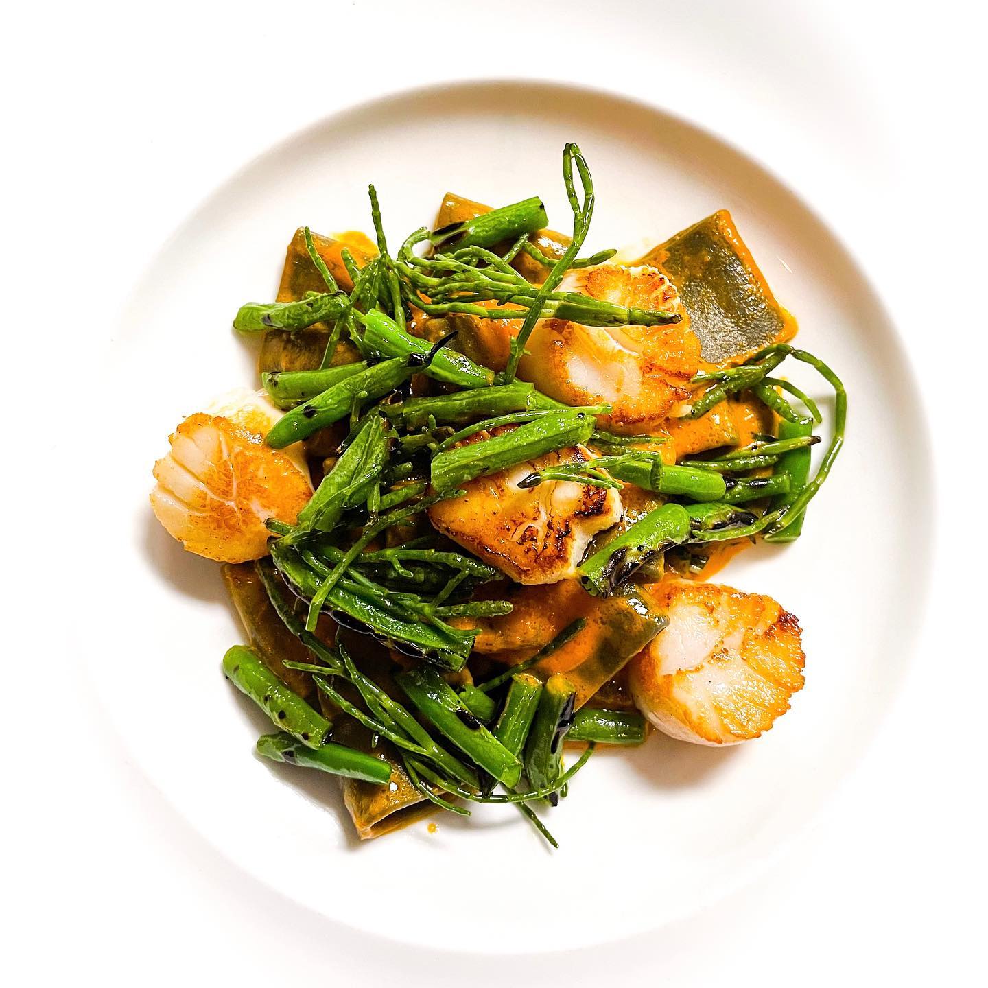 Bistro 5 - ️Homemade black rigatoni, scallops, smoked...